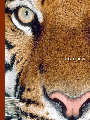 cover image of Tigers